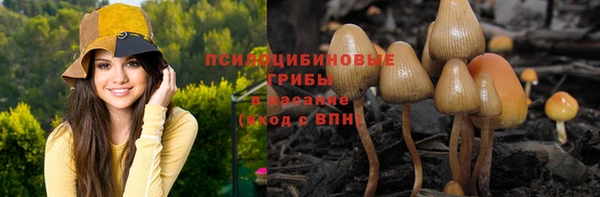стаф Алексеевка