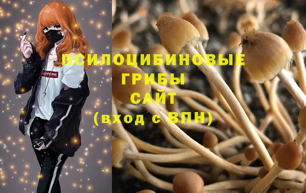 стаф Алексеевка